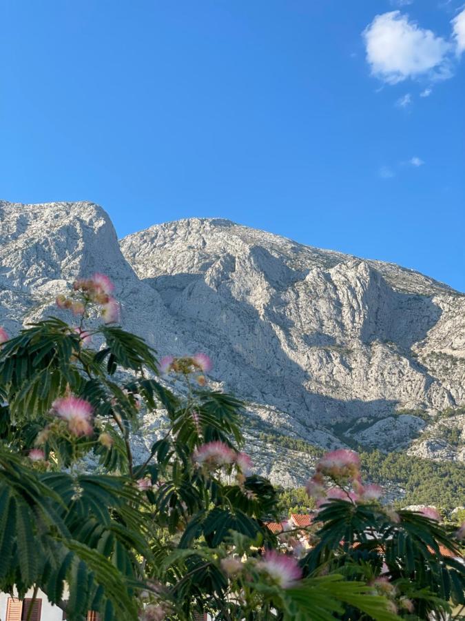 Heaven'S View Apartments Baška Voda Exterior foto