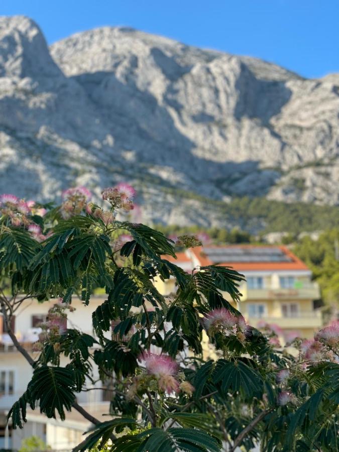 Heaven'S View Apartments Baška Voda Exterior foto